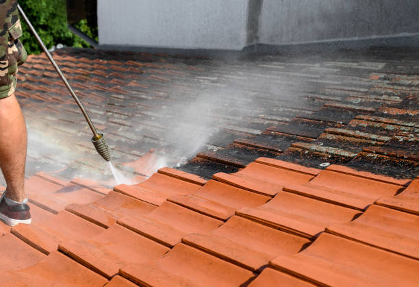 Best Affordable Pressure Washing  in Palm Coast, FL